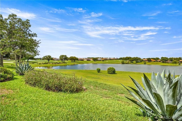 1328 W Diamond Shore Loop, Hernando, FL 34442 - water view