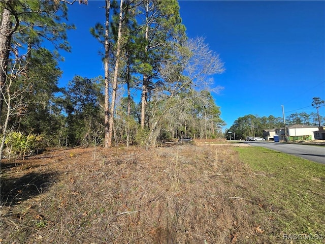 Listing photo 2 for 6434 N Baylor Ter, Dunnellon FL 34433