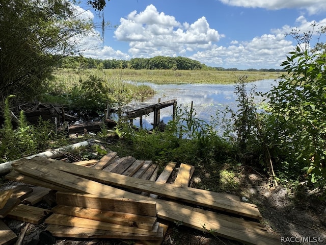 dock area featuring a water view