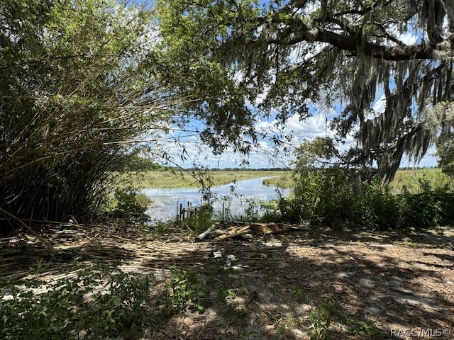 view of local wilderness featuring a water view