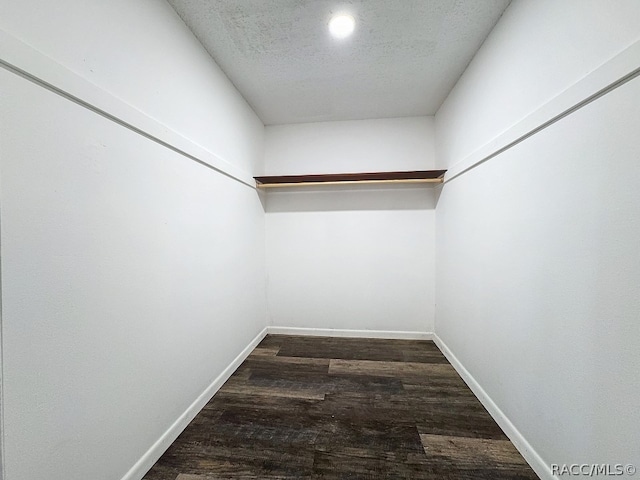 walk in closet featuring dark hardwood / wood-style flooring