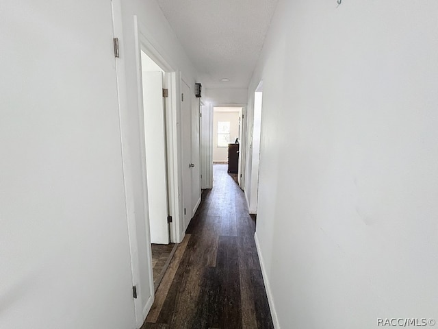 hall with a textured ceiling and dark hardwood / wood-style floors