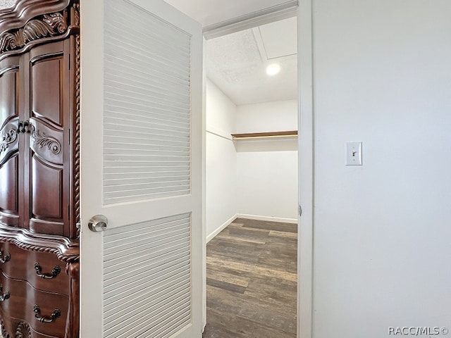 walk in closet with wood-type flooring