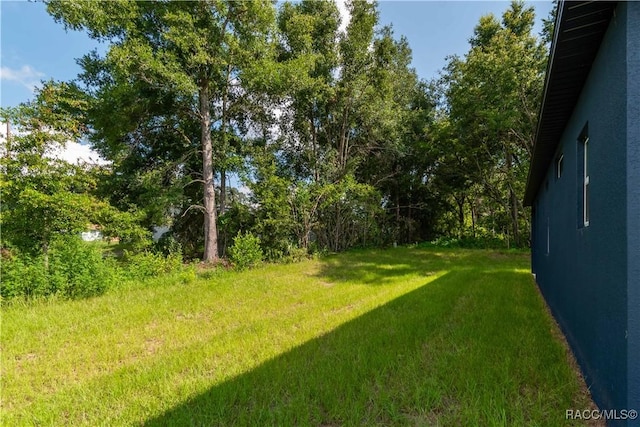 9276 N Alpinia Dr, Citrus Springs, FL 34434 - view of green lawn