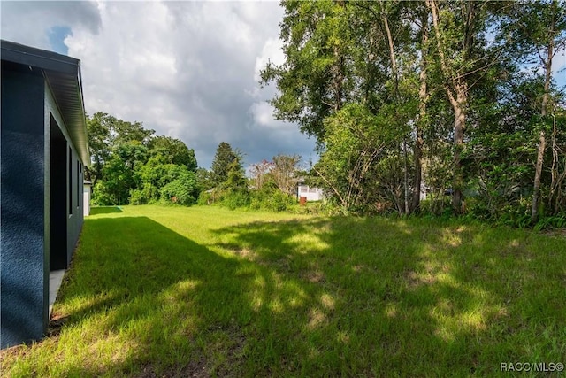 9276 N Alpinia Dr, Citrus Springs, FL 34434 - view of grassy yard