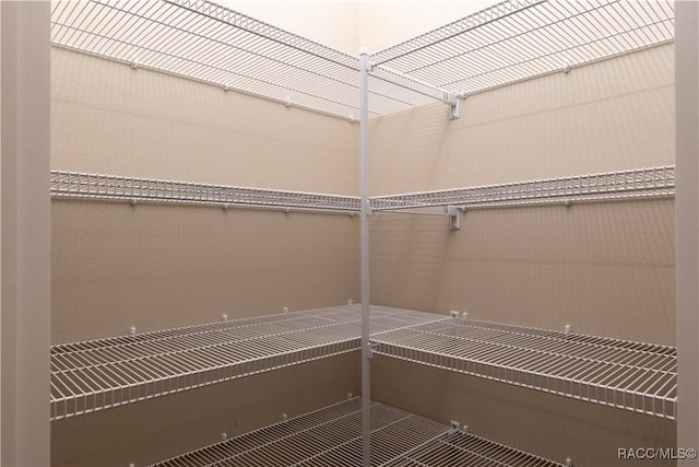 9276 N Alpinia Dr, Citrus Springs, FL 34434 - view of pantry