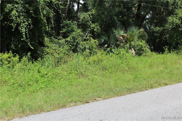 6364 E Seneca St, Inverness FL, 34452 land for sale