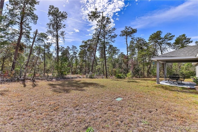 view of yard featuring a patio area