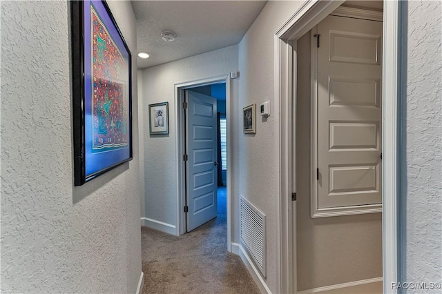 corridor featuring carpet floors