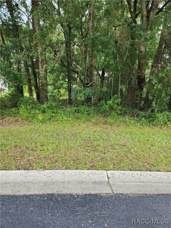 7892 W Tumblwbrook Dr, Dunnellon, FL 34433 - photo 1