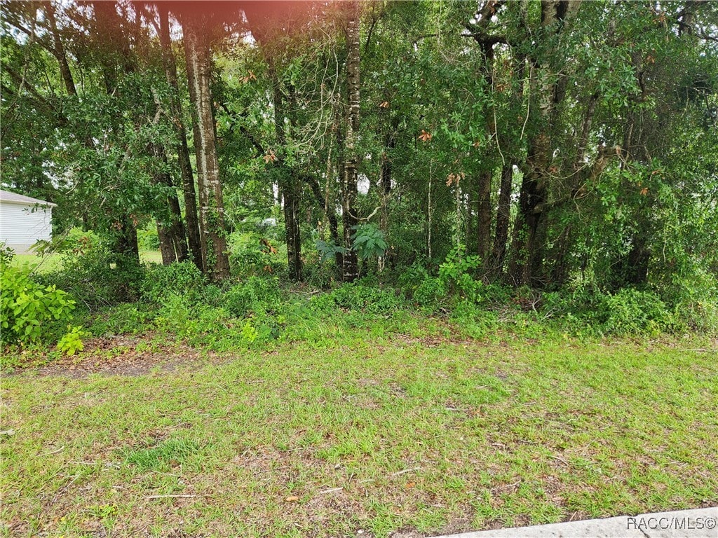 7892 W Tumblwbrook Dr, Dunnellon, FL 34433 - photo 2