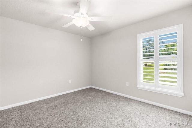 78 Pine St, Homosassa, FL 34446 - photo 15