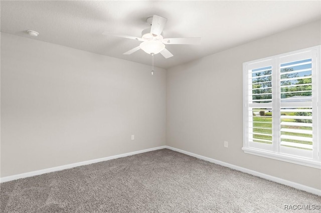 78 Pine St, Homosassa, FL 34446 - photo 28