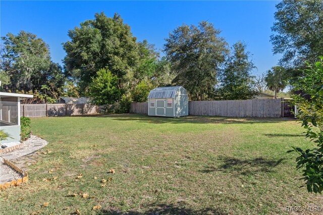 view of yard featuring a storage unit