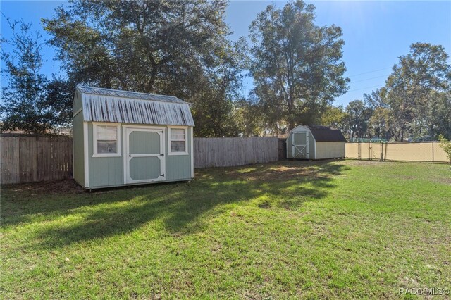 view of yard with a storage unit