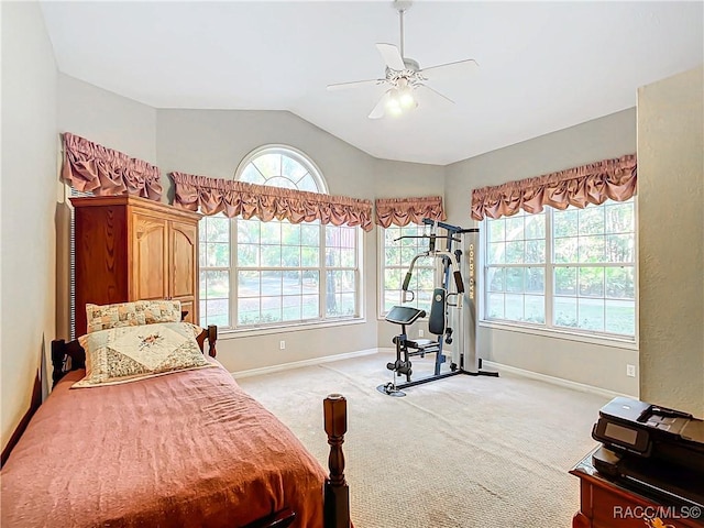 carpeted bedroom featuring ceiling fan and lofted ceiling