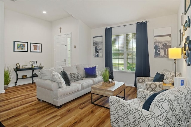 living room featuring hardwood / wood-style flooring