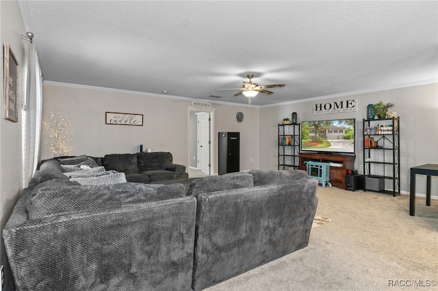 carpeted living room featuring ceiling fan, ornamental molding, and a textured ceiling