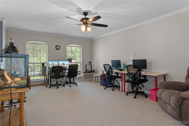 home office featuring carpet floors, ceiling fan, and crown molding