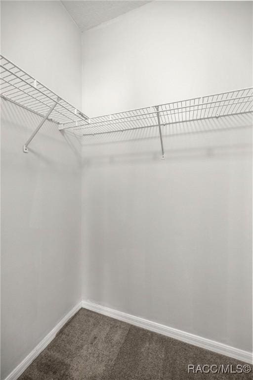 walk in closet with dark colored carpet