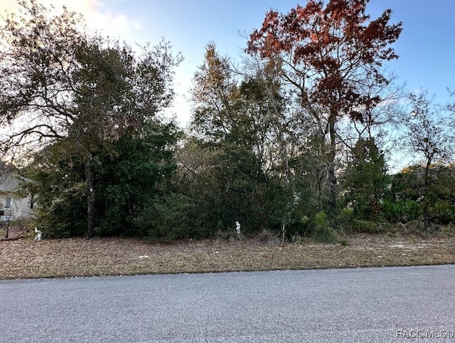 Listing photo 2 for 7 Calendula Ct, Homosassa FL 34446