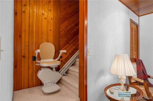 bathroom with wood ceiling and wooden walls