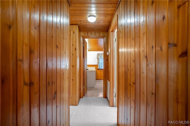 corridor with light colored carpet, wood ceiling, and wood walls