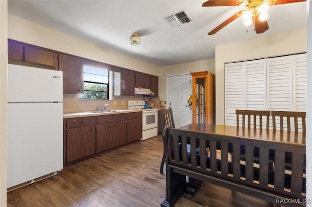 kitchen with dark hardwood / wood-style flooring, white appliances, dark brown cabinetry, ceiling fan, and sink