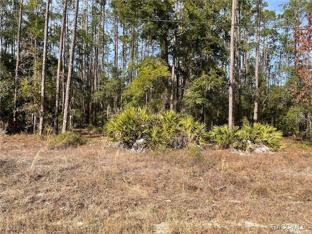 LOT23 SW Tiger Lake Blvd W, Dunnellon FL, 34431 land for sale