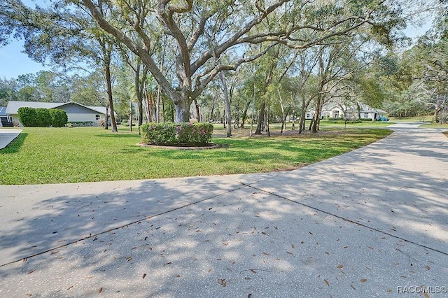 view of home's community with a lawn