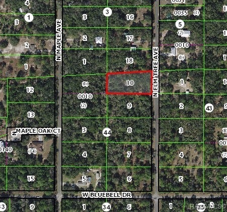 8484 N Elmtree Ave, Crystal River, FL 34428