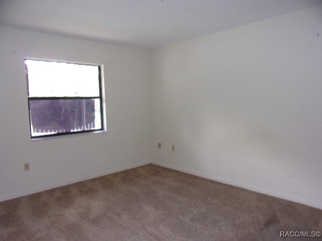 empty room featuring carpet