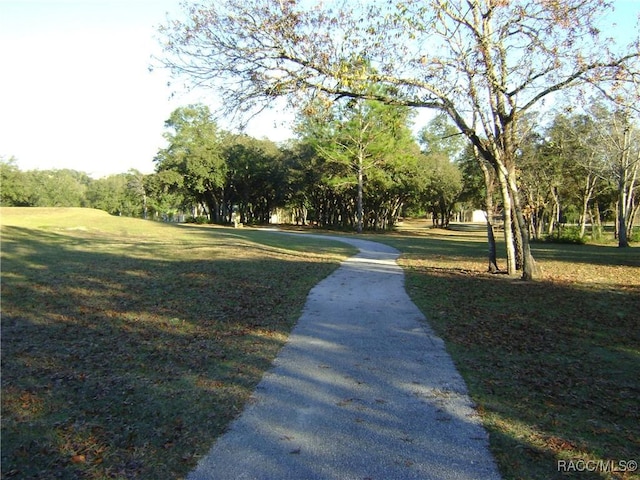 view of community featuring a yard