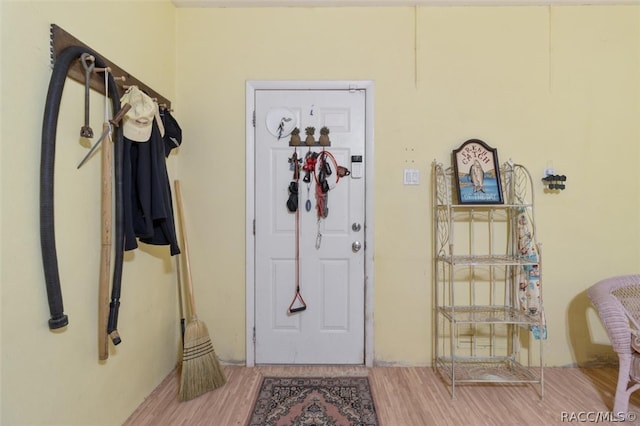 foyer featuring hardwood / wood-style floors