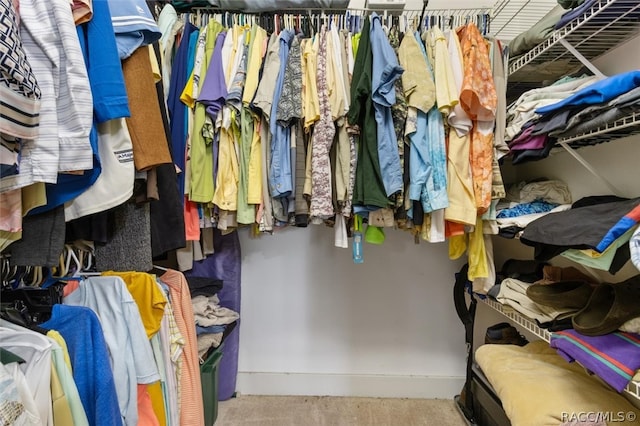 walk in closet featuring light carpet