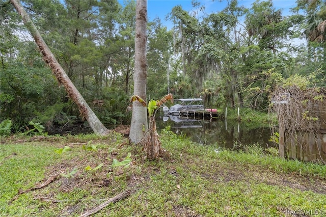 view of yard featuring a water view