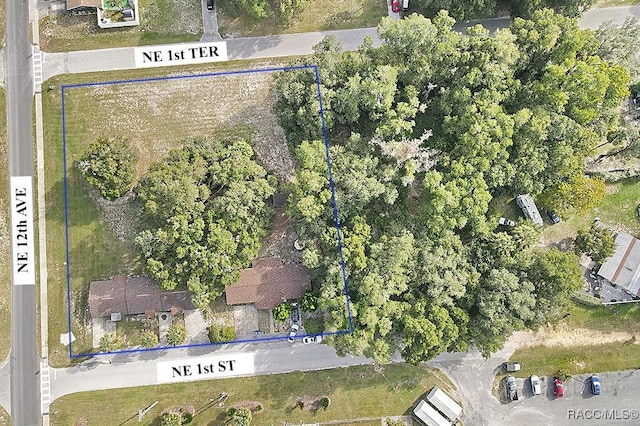 1154 NE 1st St, Crystal River, FL 34429 - photo 3