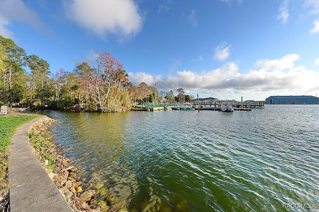 1154 NE 1st St, Crystal River, FL 34429 - photo 45