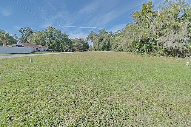 1154 NE 1st St, Crystal River, FL 34429 - photo 42