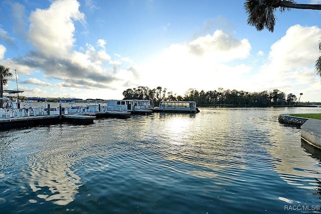 1154 NE 1st St, Crystal River, FL 34429 - photo 48