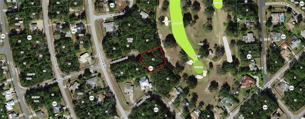 2980 W Challenge Ct, Citrus Springs, FL 34434 - photo 2