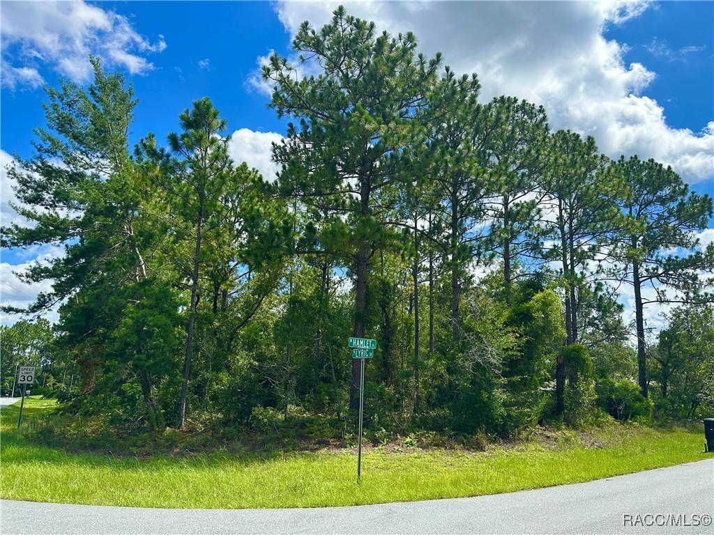 7575 N Lyric Dr, Citrus Springs, FL 34433 - photo 2