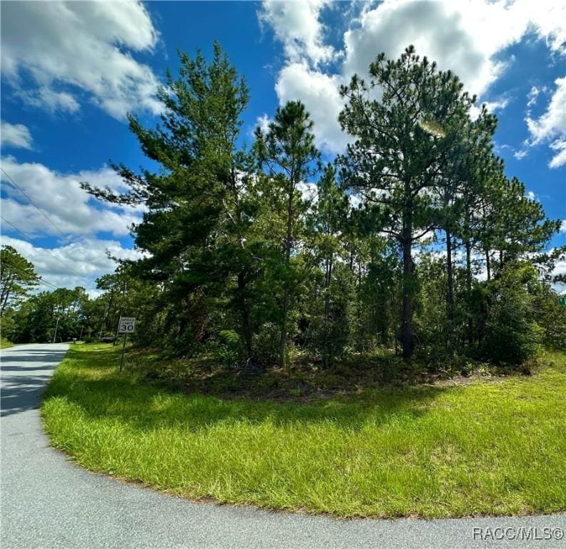 7575 N Lyric Dr, Citrus Springs, FL 34433 - photo 1