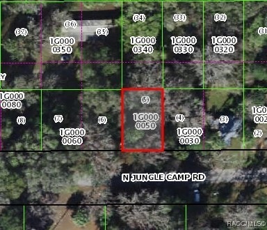 2419 N Junglecamp Rd, Inverness FL, 34453 land for sale