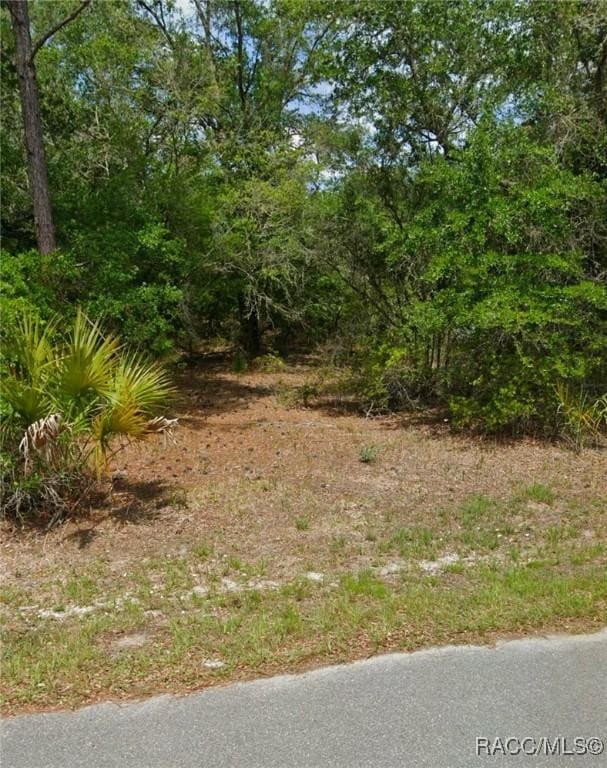 12076 W Fig Tree Ln, Crystal River FL, 34428 land for sale