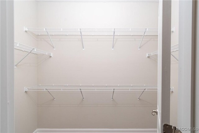 view of walk in closet