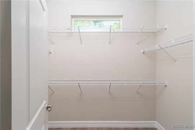 spacious closet with wood-type flooring