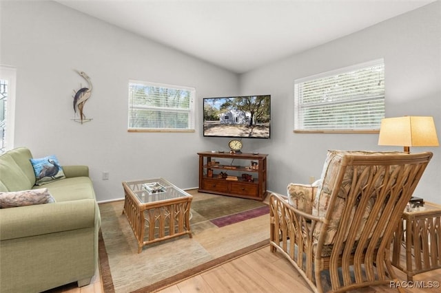 living room with lofted ceiling and wood-type flooring