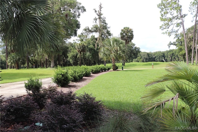 view of community featuring a lawn