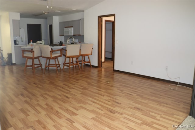 living room with a baseboard radiator and light hardwood / wood-style flooring